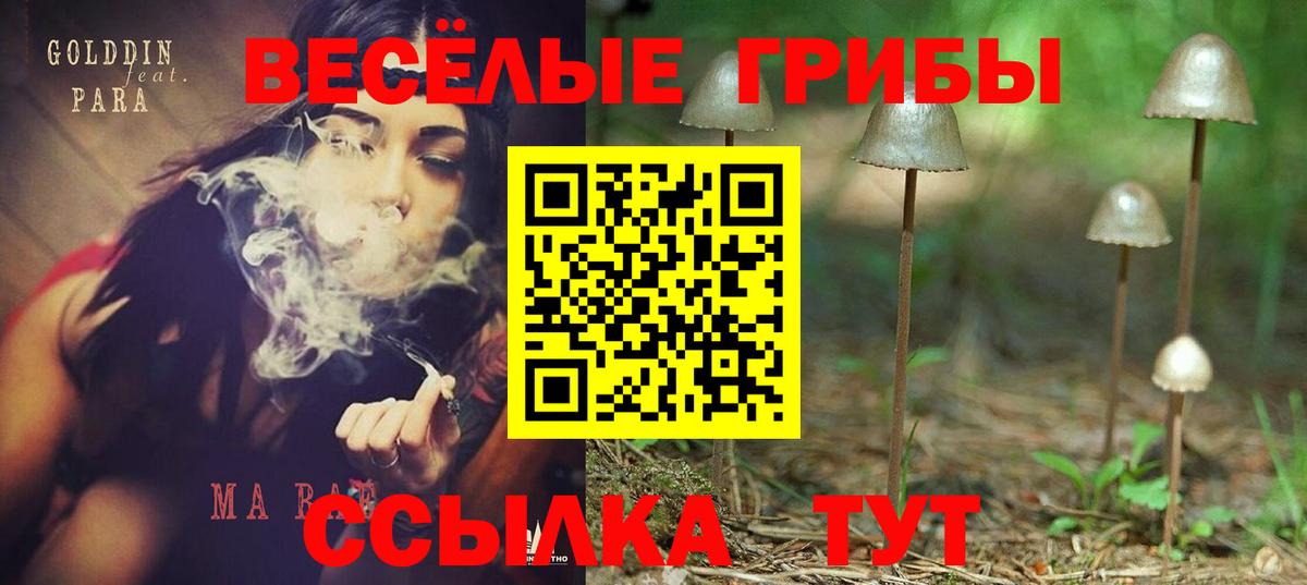 Псилоцибиновые грибы GOLDEN TEACHER Мытищи