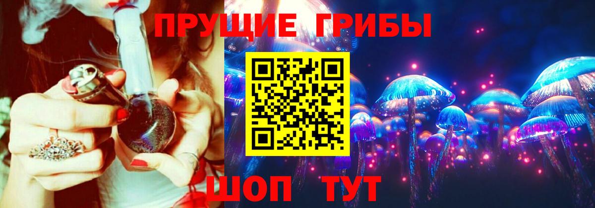 Галлюциногенные грибы Cubensis  Вход с VPN  Псилоцибиновые грибы прущие грибы  Мытищи 